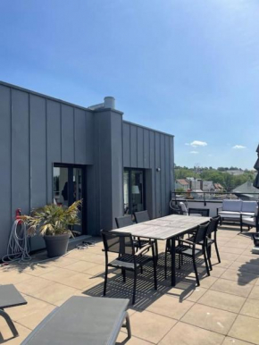 Magnifique appartement avec sa grande terrasse